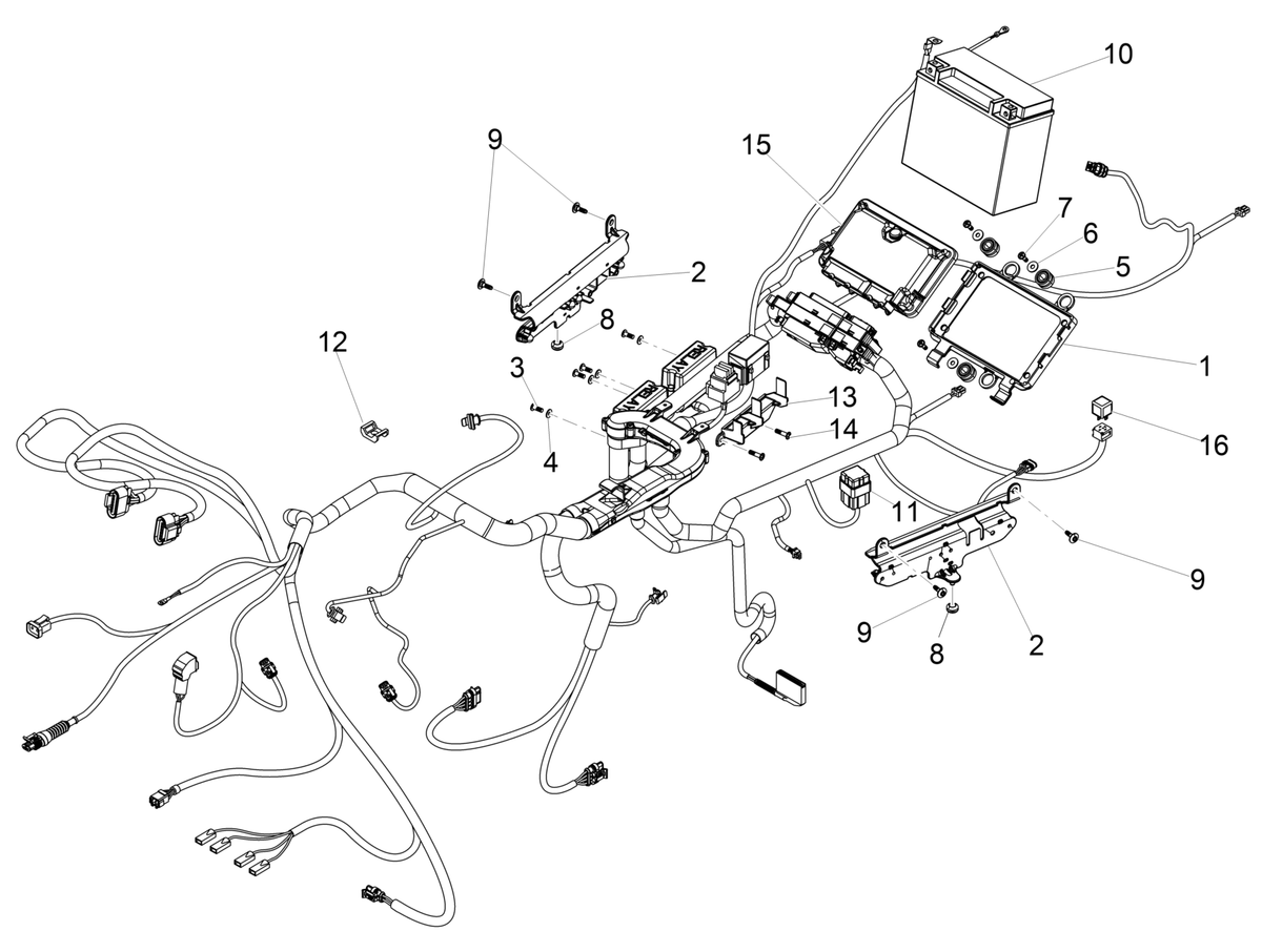 Electronic injection control unit
