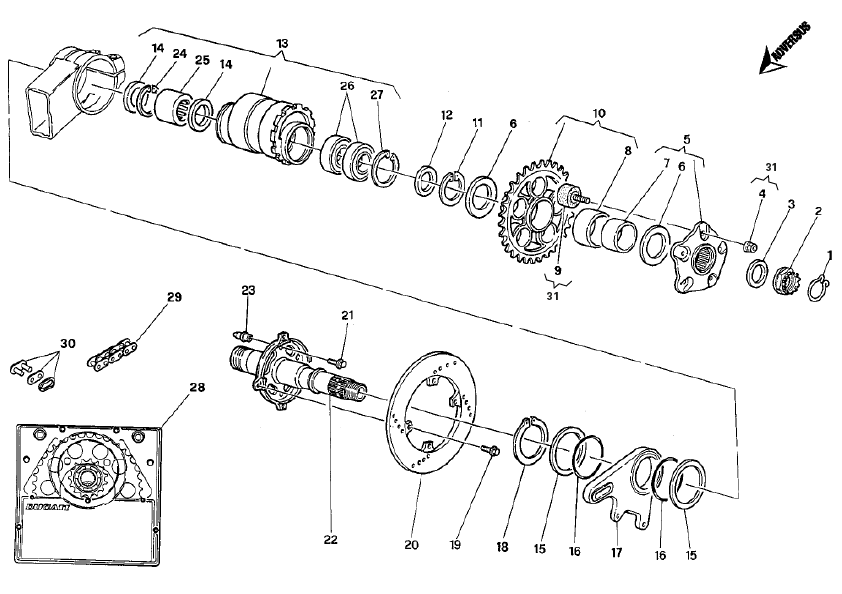 49420511A