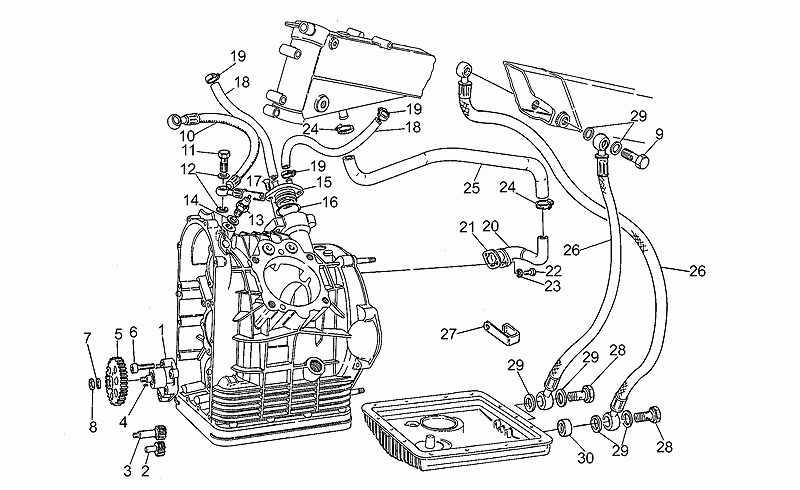 Oil pump gear
