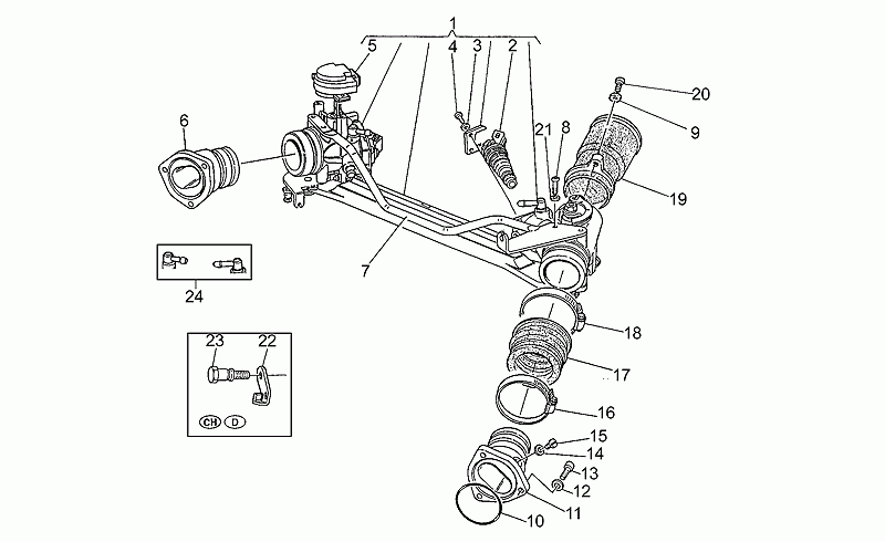 Oil seal