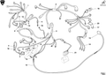 77940111A