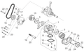 Chain guide plate