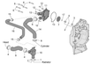 Seal rings kit