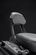 Passenger rear backrest.