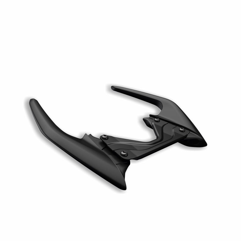 Passenger grab handles.