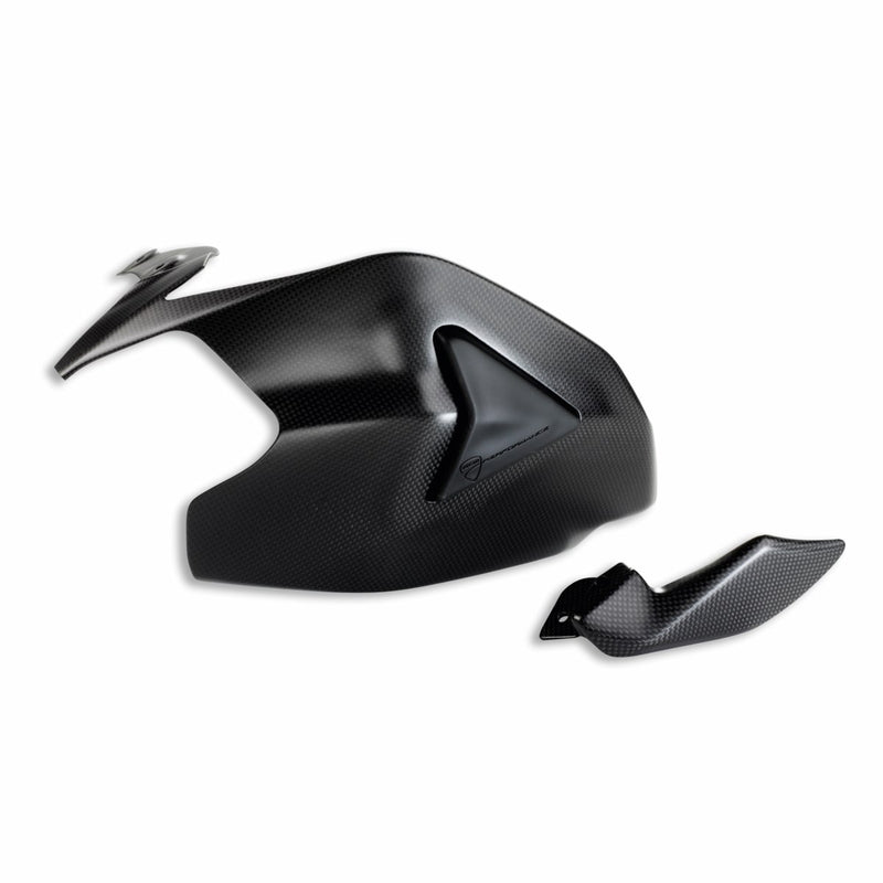 Carbon swingarm guard. 