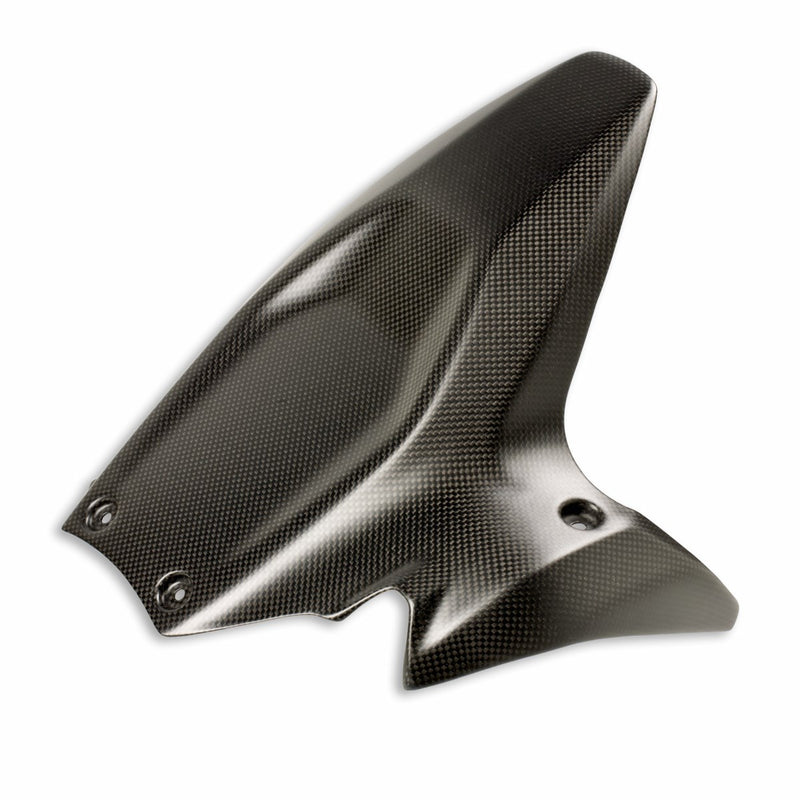 Carbon rear mudguard.