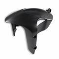 Carbon front mudguard.