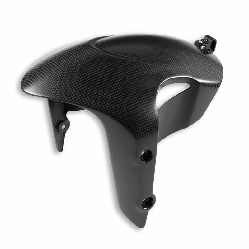 Carbon front mudguard.