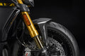 Carbon front mudguard.