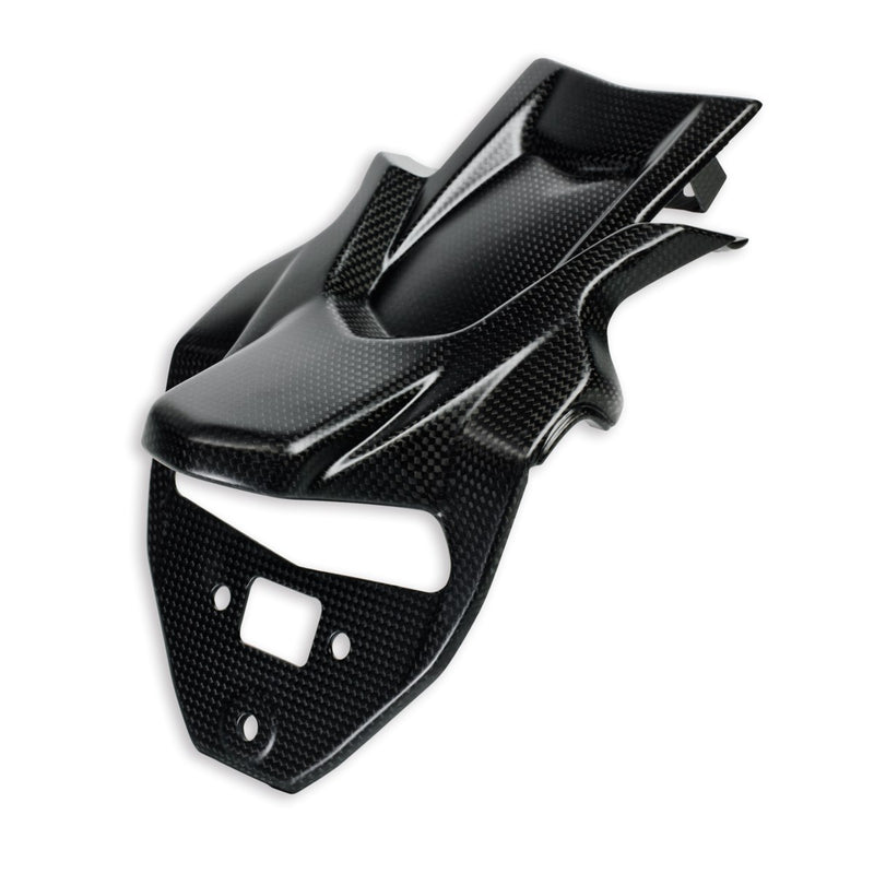 Carbon number plate holder cover.