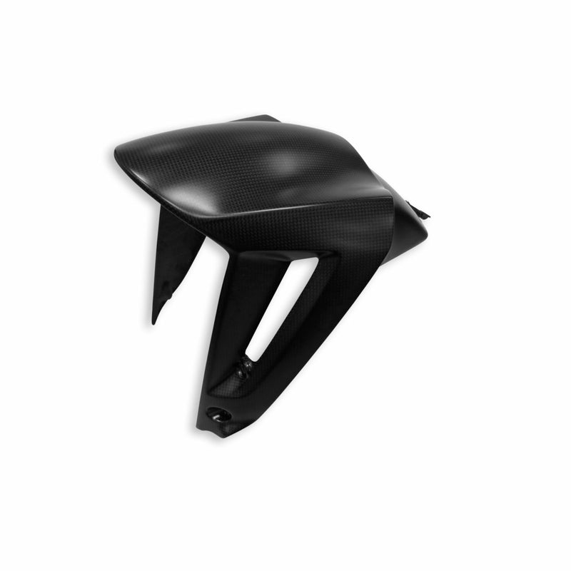 Carbon front mudguard.
