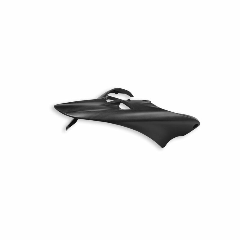 Carbon rear mudguard.