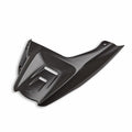 Carbon rear mudguard.