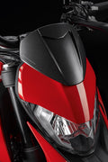 Carbon headlight fairing.