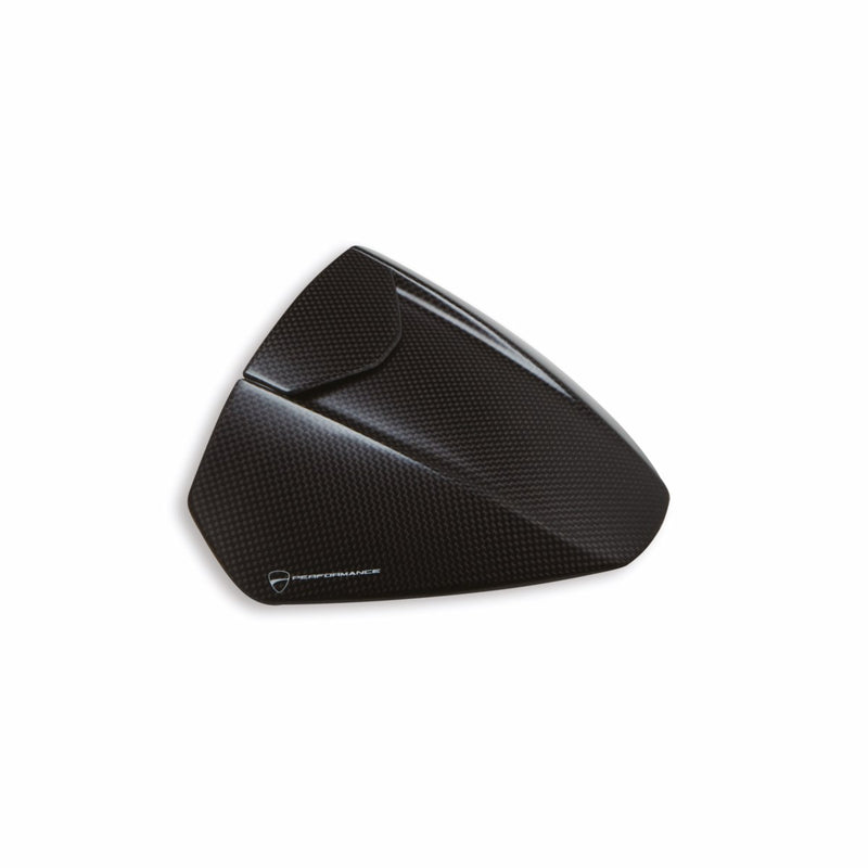 Carbon headlight fairing.