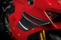 Pair of carbon wings.