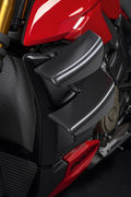Carbon wings.