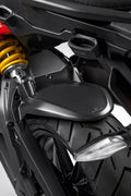 Carbon rear mudguard.