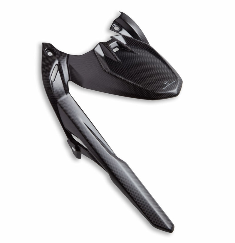 Carbon rear mudguard.