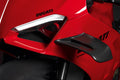 Pair of carbon wings.