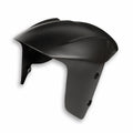 Carbon front mudguard.