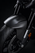 Carbon front mudguard.