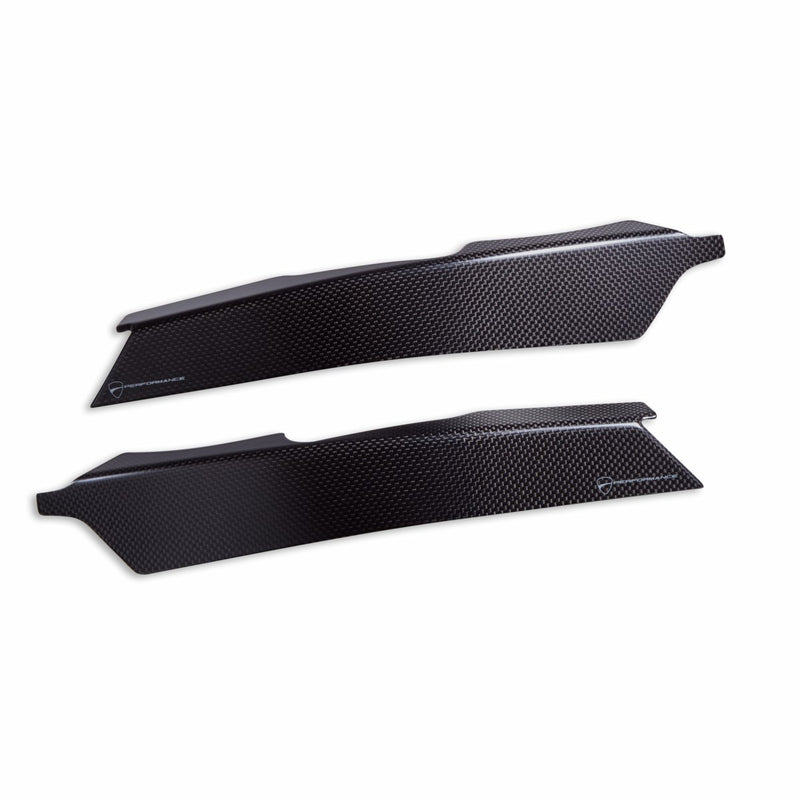 Carbon protections for frame.