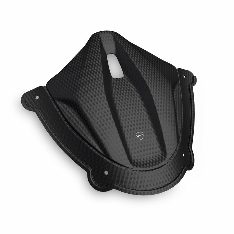 Carbon instrument panel cover.