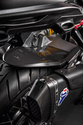 Carbon rear mudguard.