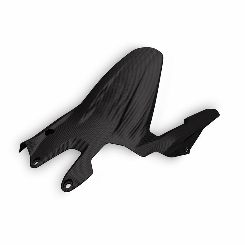 Carbon rear mudguard.
