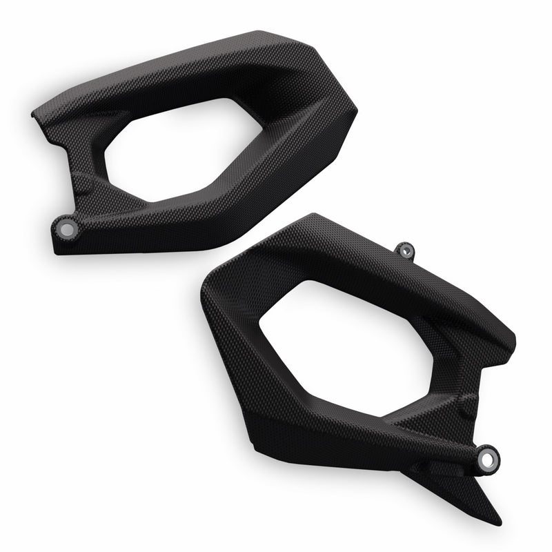 Carbon swingarm guard. 