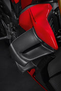 Carbon wings.