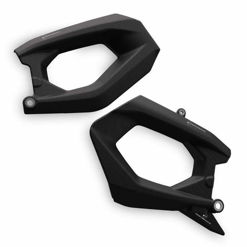 Carbon swingarm guard. 