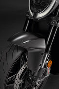 Carbon front mudguard.