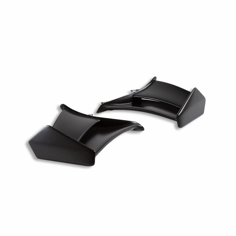 Pair of carbon wings.