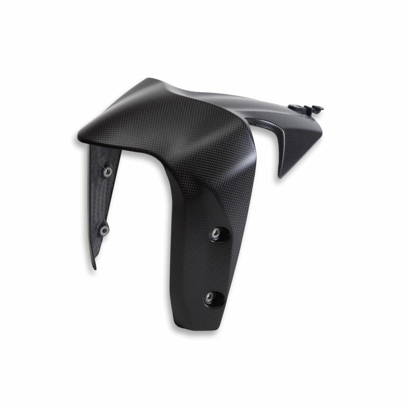 Carbon front mudguard.