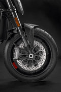 Carbon front mudguard.