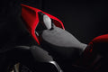 Single-seater tail guard.