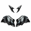 Monster GP customised fairings.