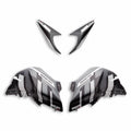 Monster GP customised fairings.