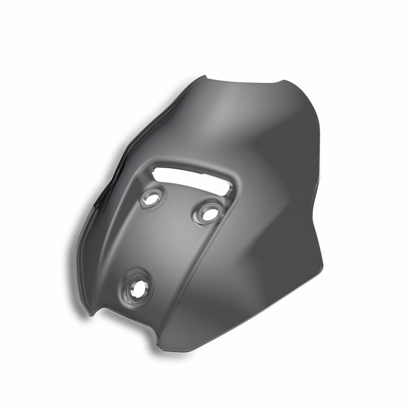 Sport headlight fairing.