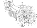 55210442A