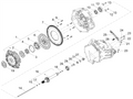 Oil seal