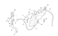 Oil plug gasket