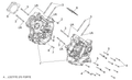 Oil seal OR