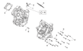 Oil seal OR